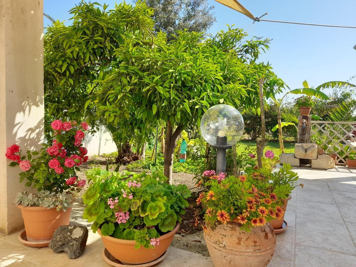 La Pomelia Villa Granelli Kültér fotó